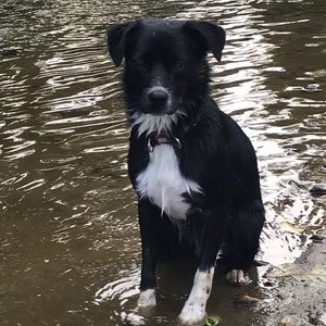 Meet your Posher, April